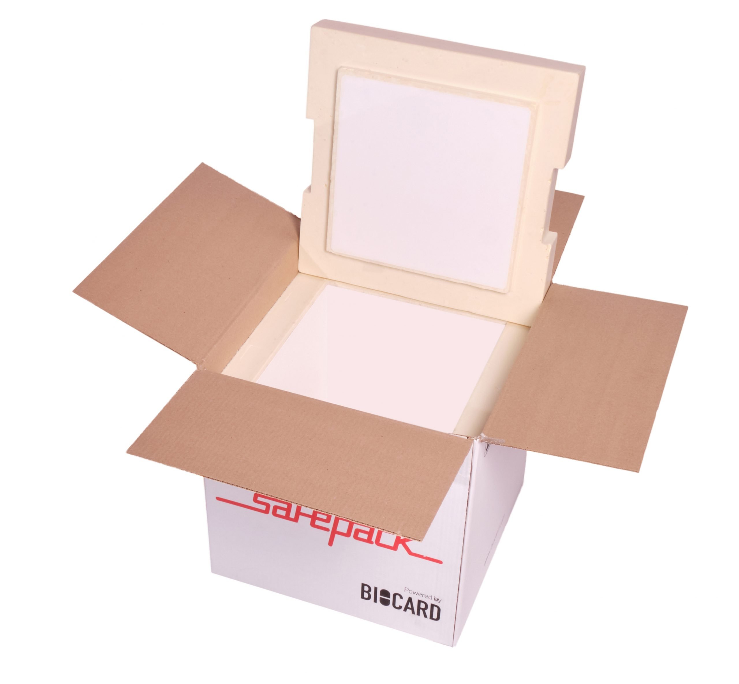 ТЕРМОКОНТЕЙНЕР SAFEPACK SP-20 PPU В ПЛАСТИКЕ
